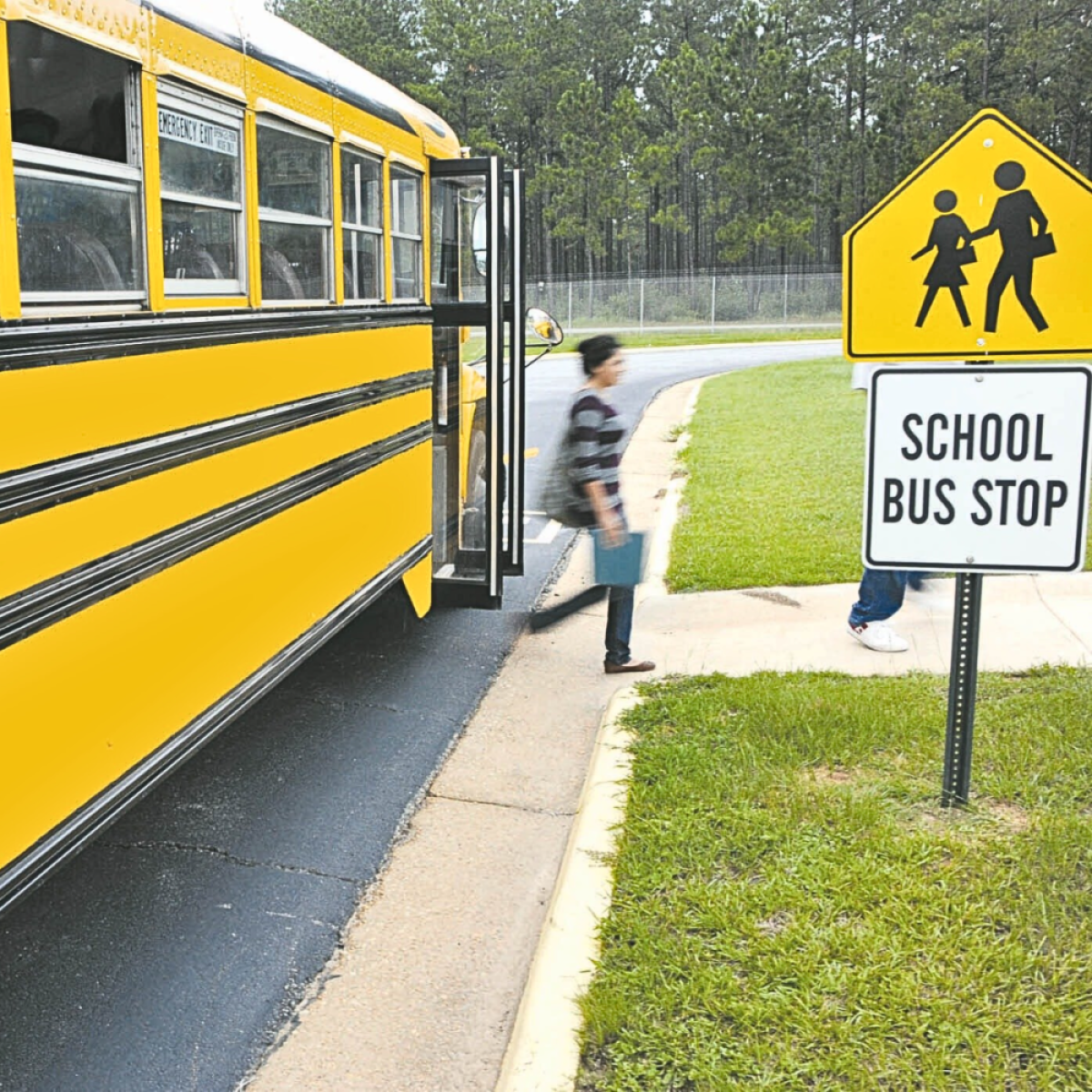 School Bus Stop